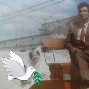 Meet your Posher, Jaqueline